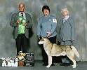 #1 Award of Merit and Best Veteran at the 2003 Siberian Husky Club of Canada National Specialty under Merc Cresap